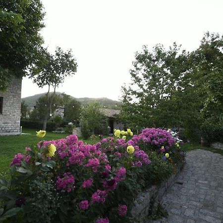 Bujtina Shkodrani Bed & Breakfast Voskopoje Ngoại thất bức ảnh