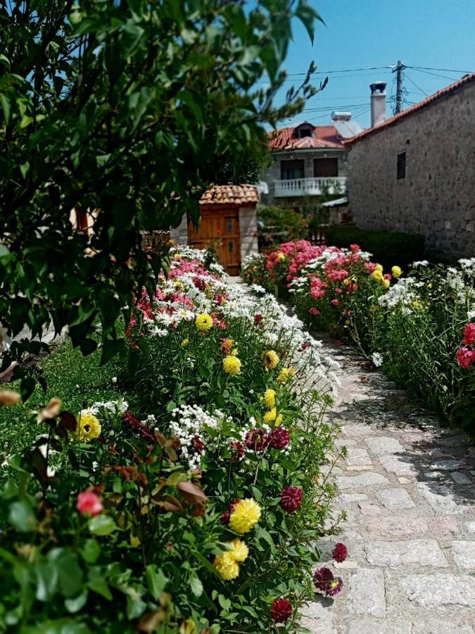 Bujtina Shkodrani Bed & Breakfast Voskopoje Ngoại thất bức ảnh