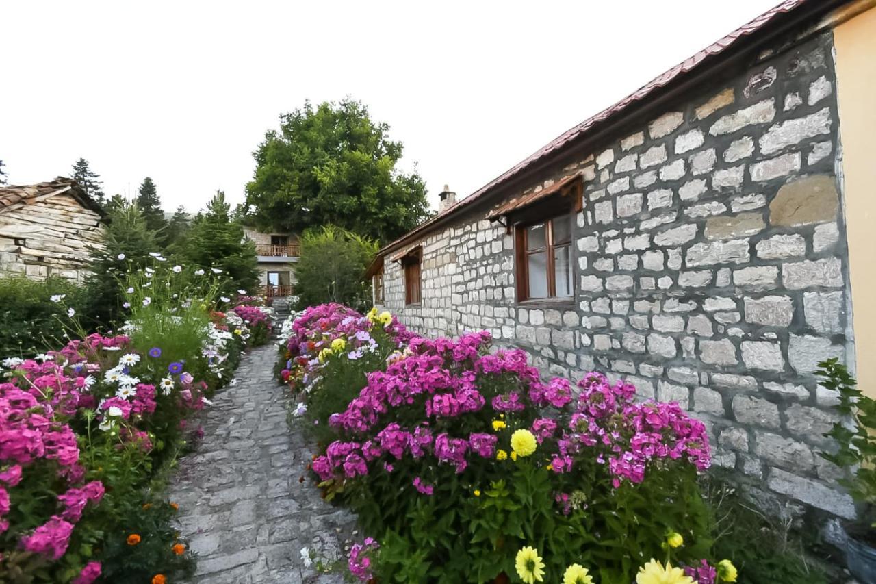 Bujtina Shkodrani Bed & Breakfast Voskopoje Ngoại thất bức ảnh
